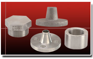 Stainless Steel Component Forging / Forged Parts