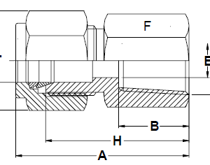 Stainless Steel Female Connectors R