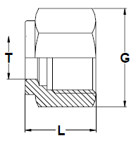 Stainless Steel Hex Nuts Stainless Steel Ferrules