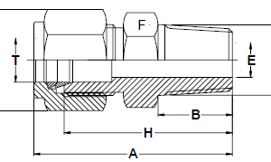 Stainless Steel Male connectors R